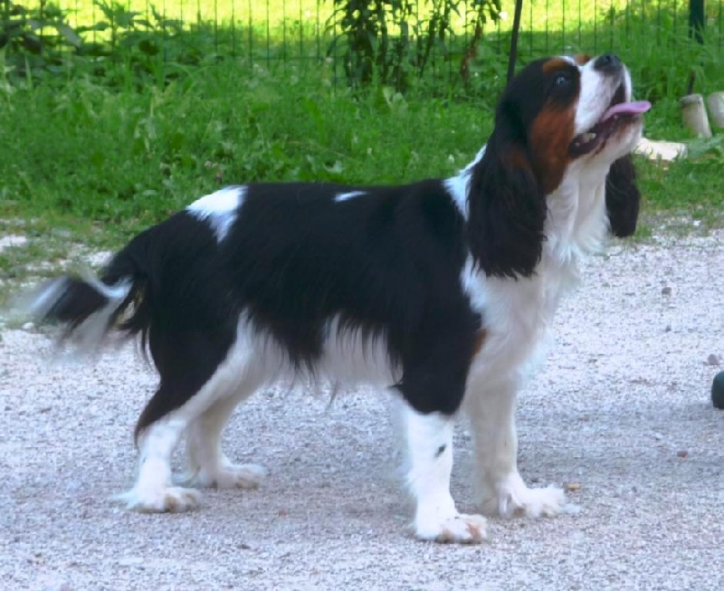 Eden sublim enjoy du bois de Villiers