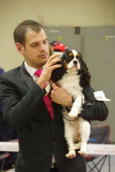 Just believe to me du bois de Villiers